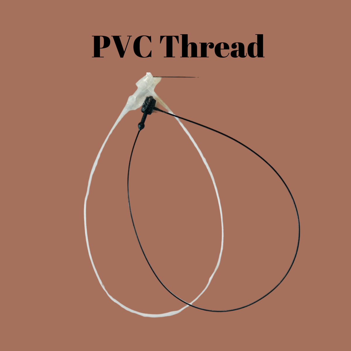 Gloss Coated - Image 2